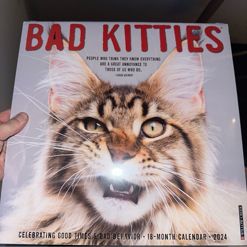 Bad Kitties 2024 12 X 12 Wall Calendar NEW Willow Creek Press $16